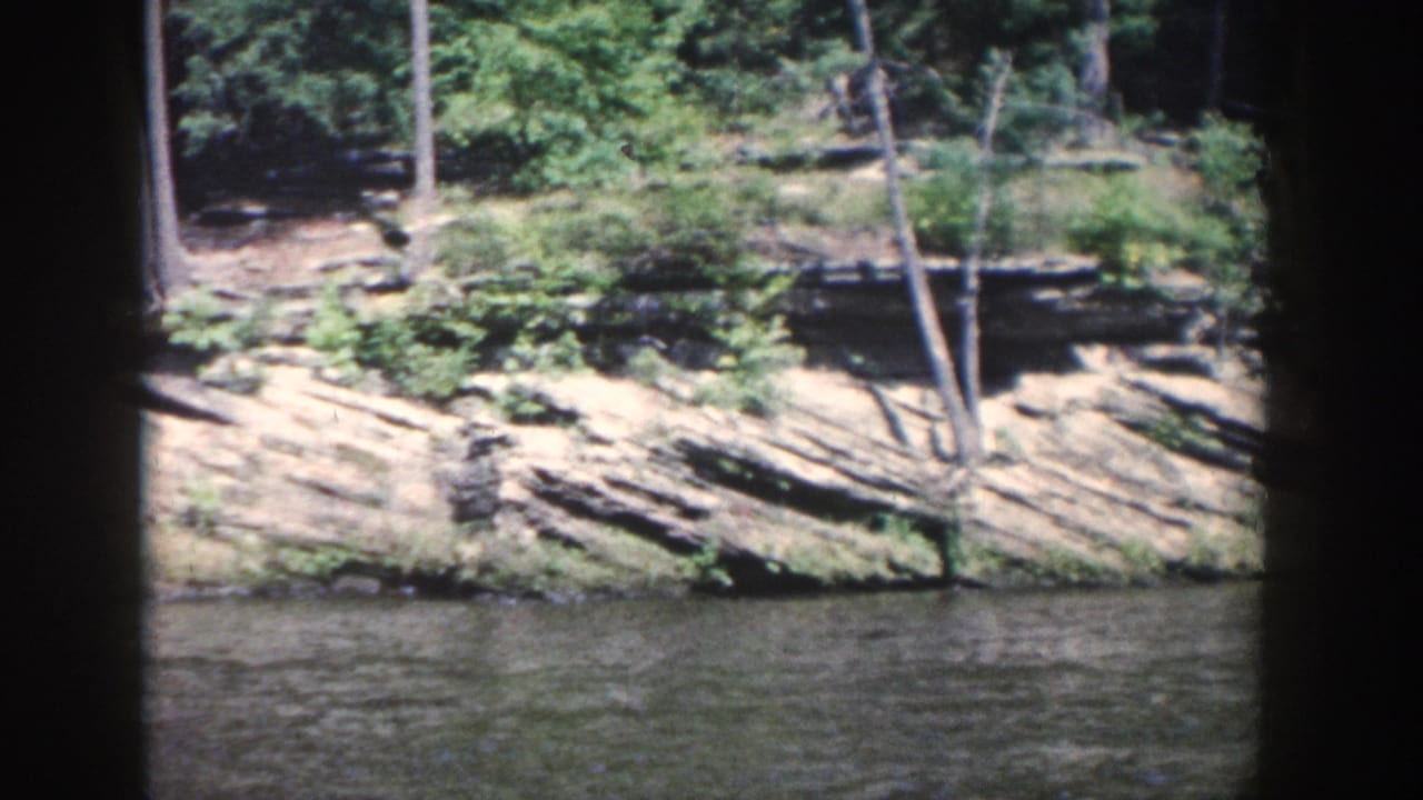 Layered rock bank beside water with trees above it.