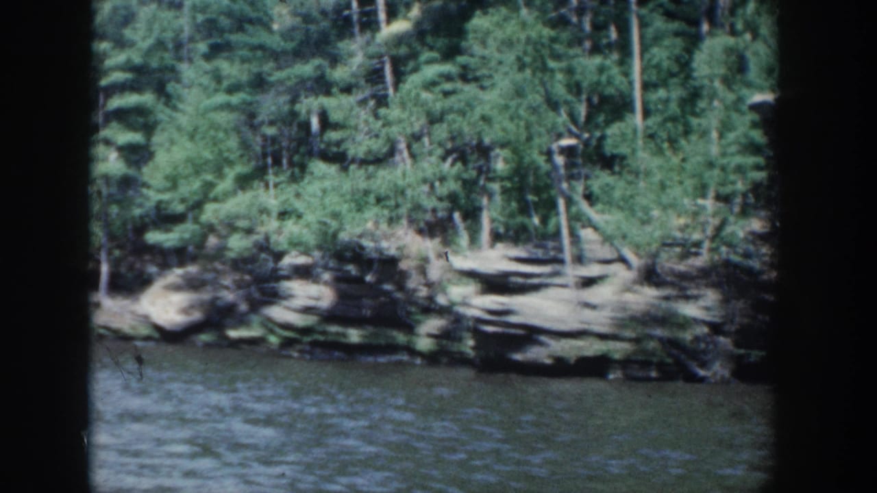 Forested lake shoreline with low rock shelves and water in the foreground.