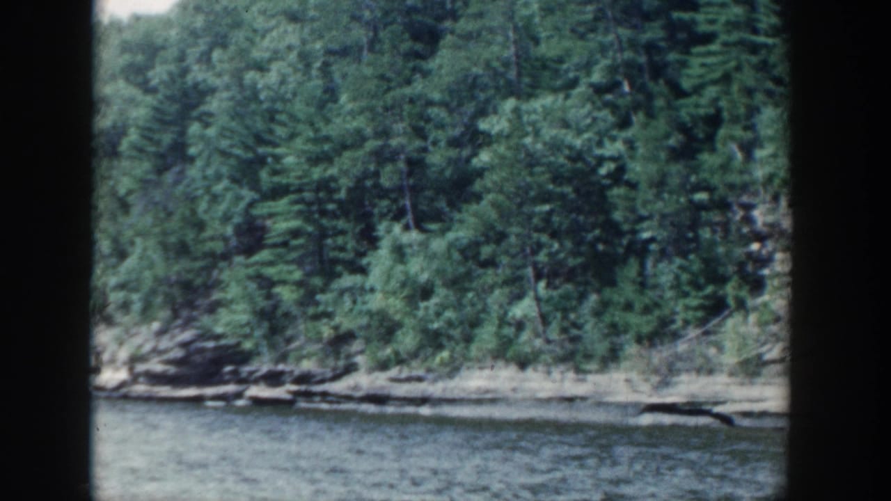 1964 Wisconsin home-movie frame of dense trees above a layered rocky lake edge.