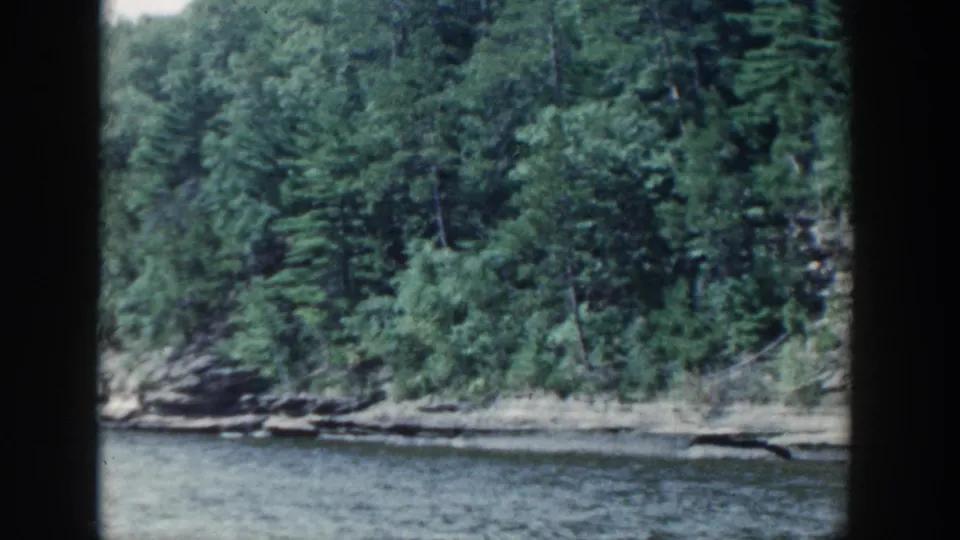 1964 Wisconsin home-movie frame of dense trees above a layered rocky lake edge.