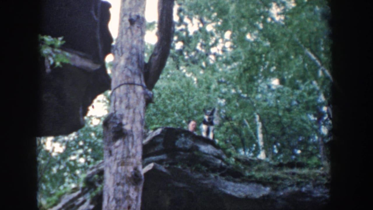 1964 Wisconsin 8mm frame showing a man and dog on a rocky wooded outcrop, partly bordered by dark film gate shadows.