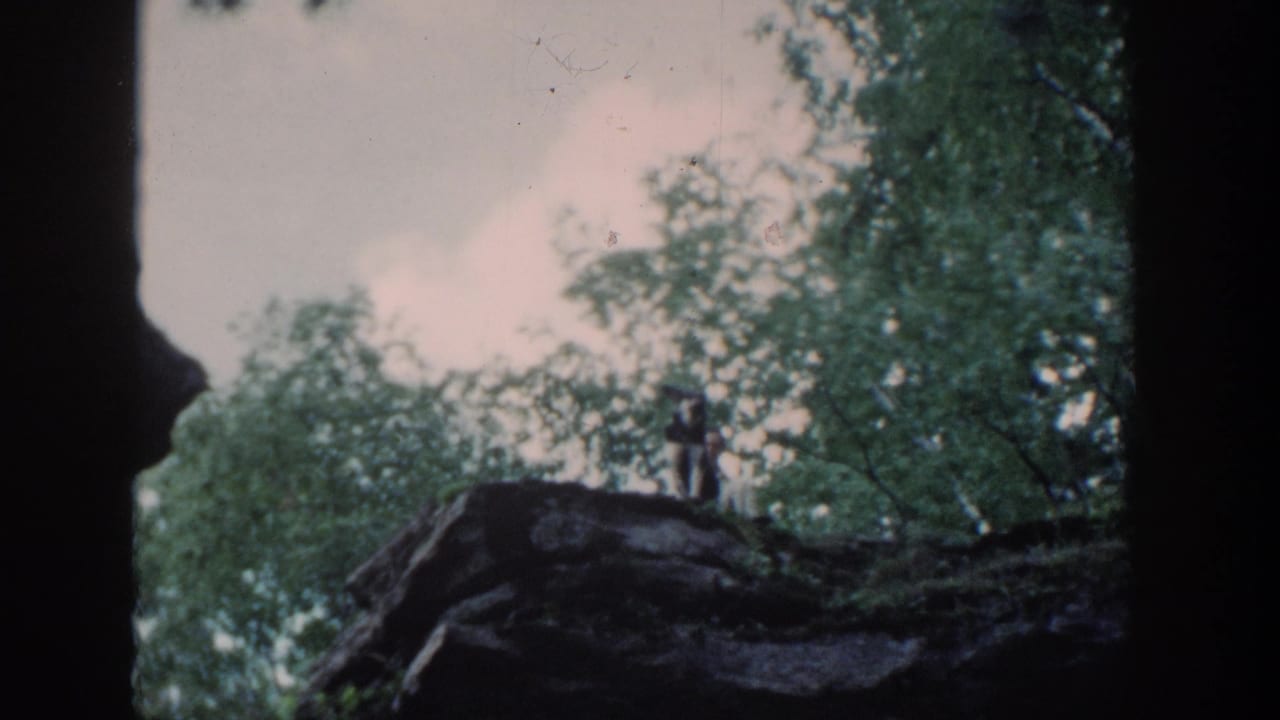 1964 Wisconsin 8mm frame with a distant man and dog on an elevated rock ledge in a dense wooded area.