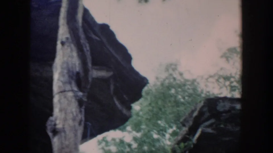 1964 Wisconsin 8mm frame with a pale tree trunk, dark rock ledge, green trees, and the dog partly visible near the lower right.