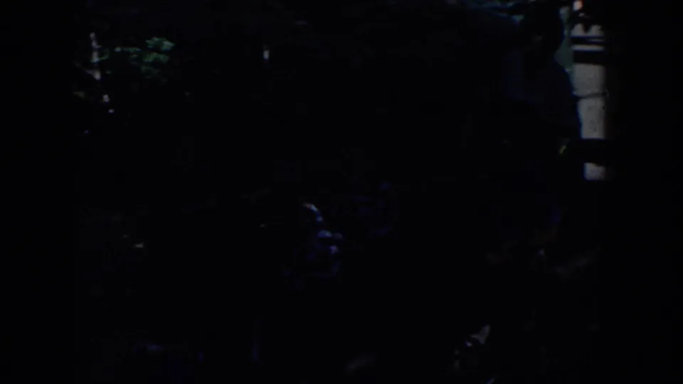Shadowed 1964 Wisconsin forest-trail frame with dense foliage and indistinct people partly hidden by darkness and film-frame edges.