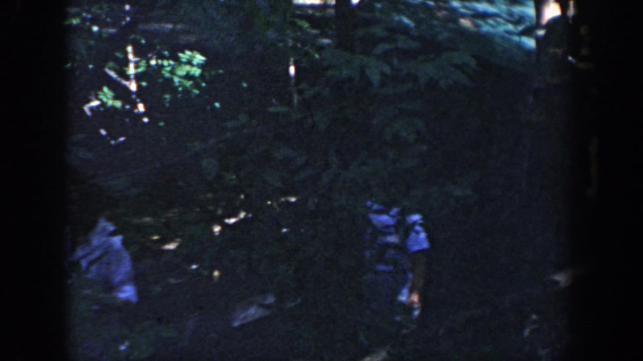 Wisconsin 1964 home-movie frame showing visitors partly obscured by shade and greenery near a wooded path.