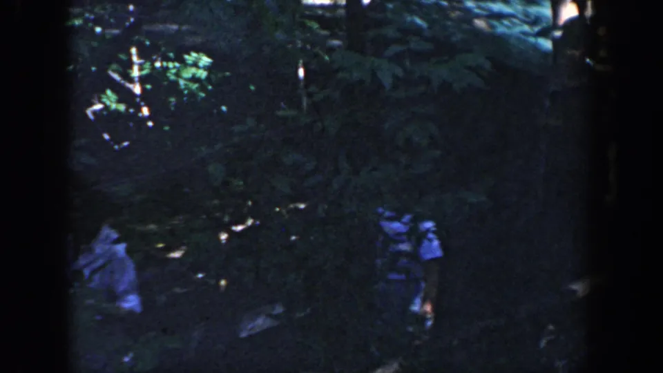 Wisconsin 1964 home-movie frame showing visitors partly obscured by shade and greenery near a wooded path.