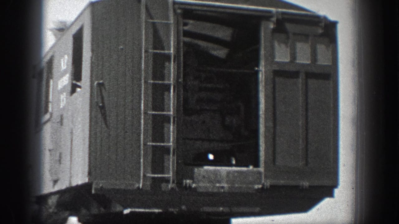 Close view of a wooden railcar with ladder, open doorway, and visible painted markings.