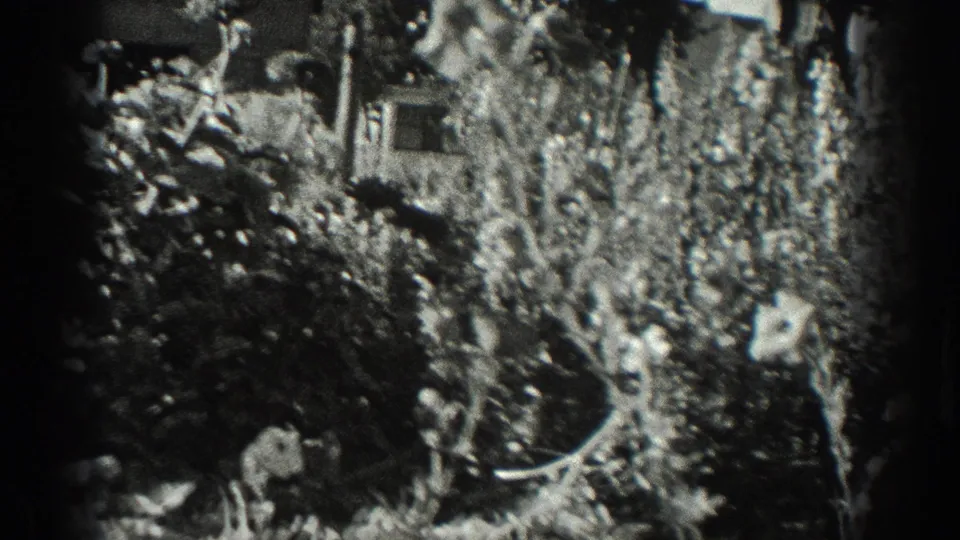 1936 California home-movie frame showing dense garden growth and a partly obscured small structure or fence behind plants.