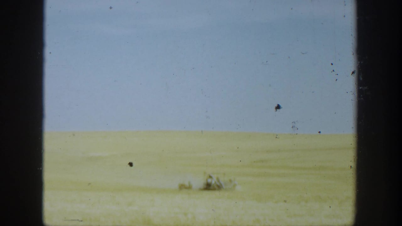 Wide 1936 California farm view with golden wheat and a distant reaper moving across the field.