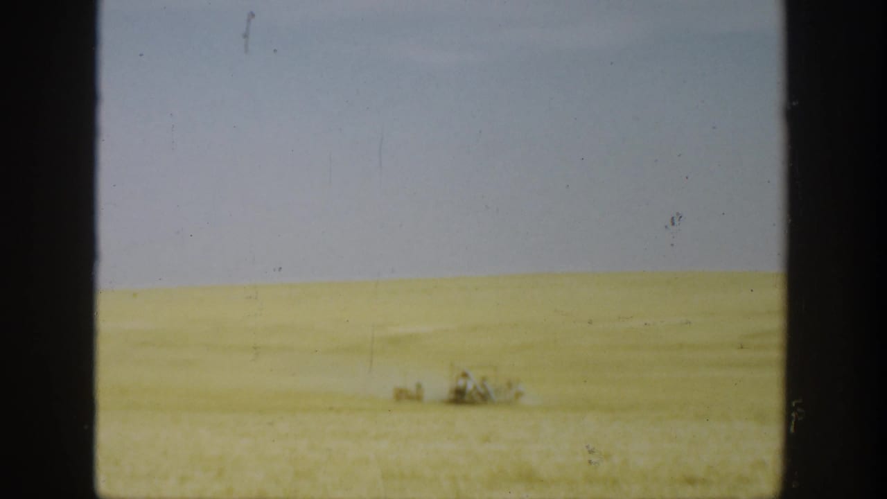 1936 California 8mm frame showing a golden wheat field, flat grey sky, and small distant figures or equipment near the horizon.