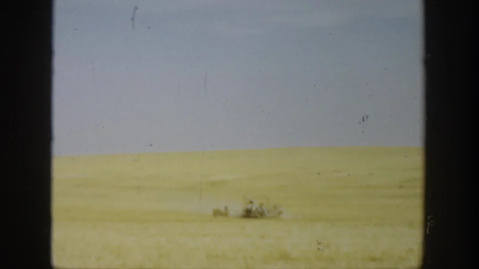 1936 California 8mm frame showing a golden wheat field, flat grey sky, and small distant figures or equipment near the horizon.
