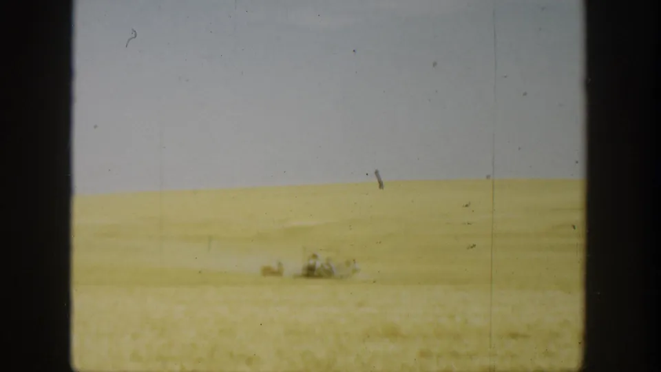 1936 California 8mm still showing a soft, warm-toned wheat field and indistinct distant activity under a grey sky.