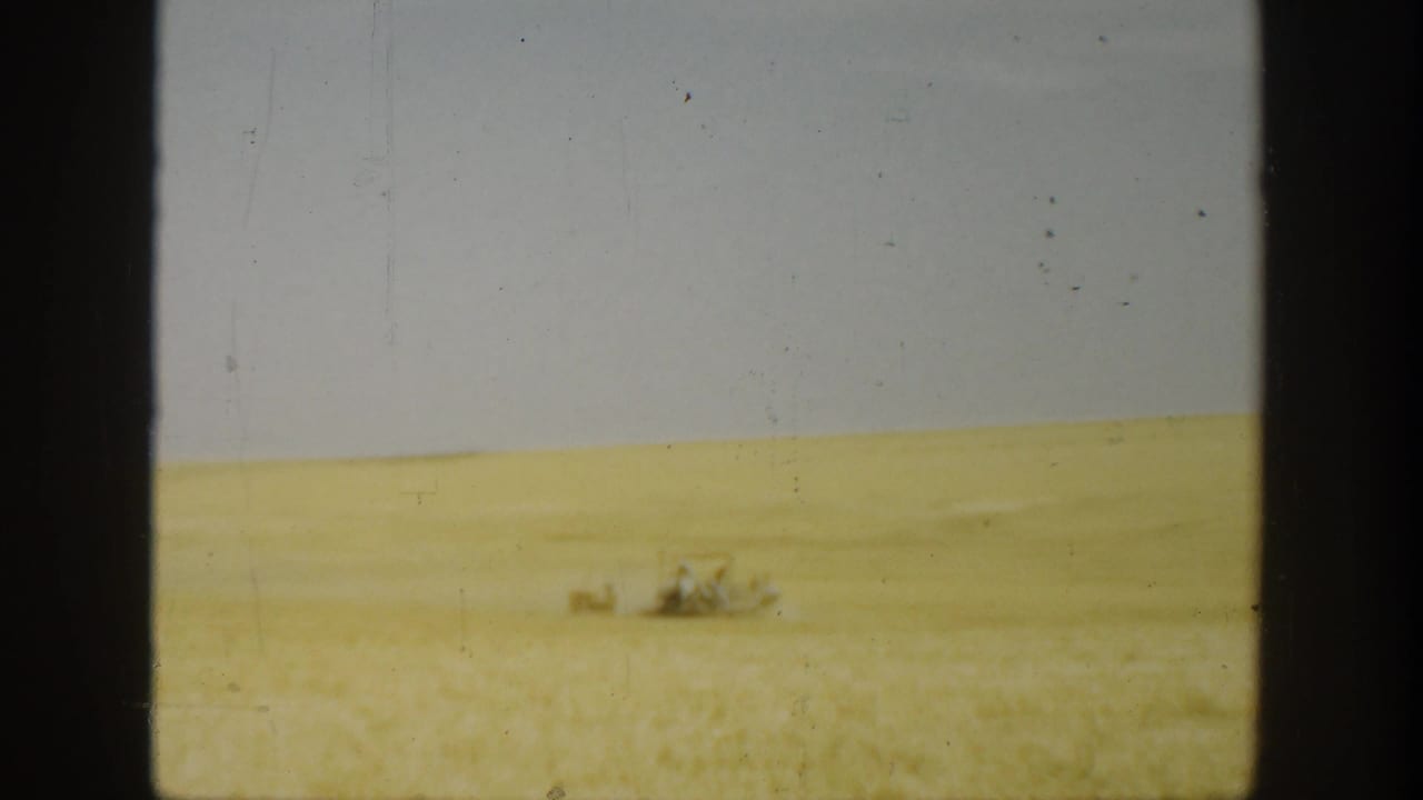 1930s California wheat field seen across a wide open landscape, with wind moving through the crop and a small distant farm detail.