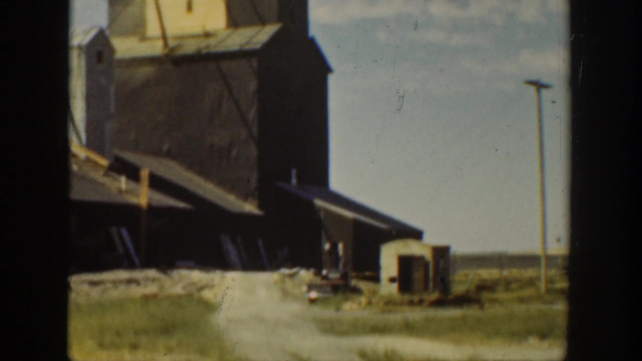 Brown farm structure with a sloped shed roof, dirt path, grass, and utility pole under a pale sky.