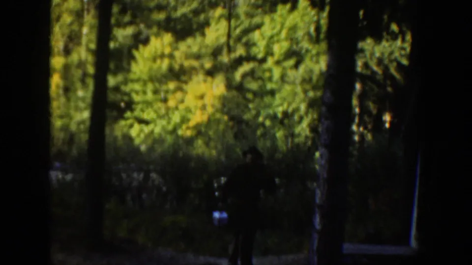 A silhouetted figure moves through shaded woods carrying a small box or fishing kit, with bright foliage beyond.