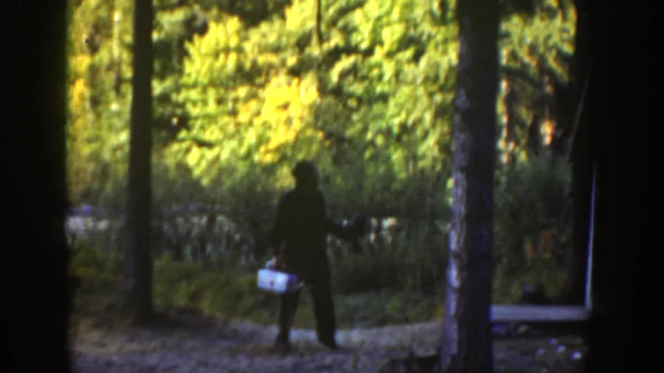 A silhouetted person in the California woods holds a small box or fishing kit as sunlight filters through trees.