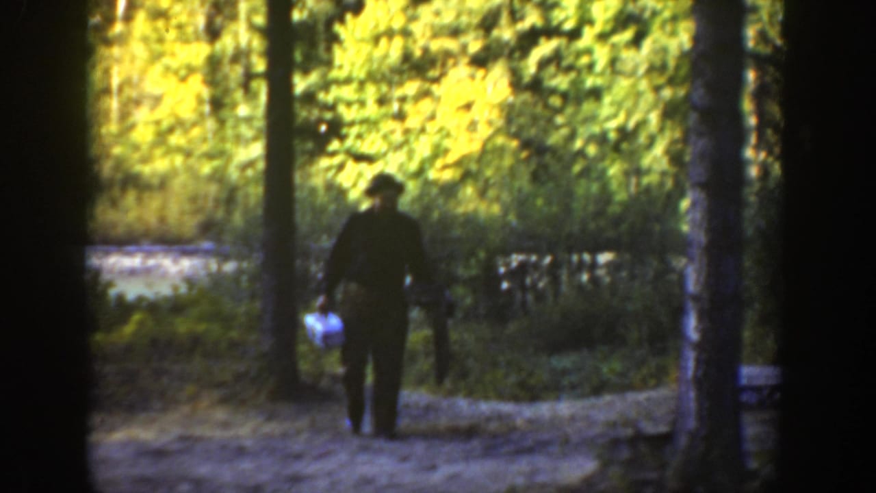 A man appears on a forest path in 1936 California footage, holding a white container near tall trees and bright foliage.