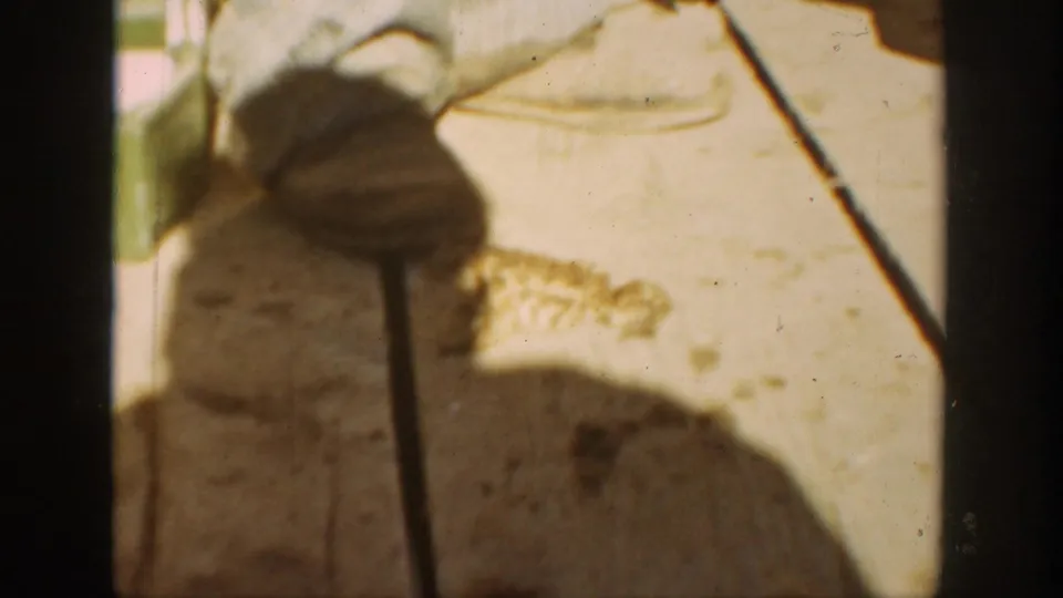 A close, soft-focus 8mm view shows a large fly or insect on a pale surface, likely from the same home-movie reel.