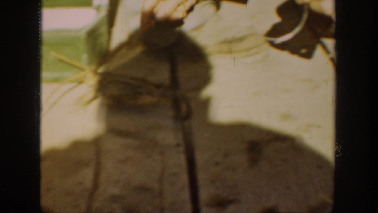 1936 California 8mm frame showing a small frog near a person's legs and hands, with strong shadows across weathered outdoor boards.