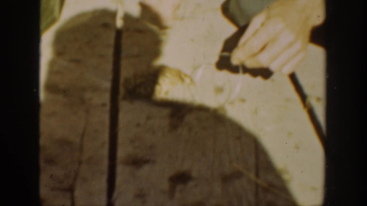 A person's hand reaches near a frog on a bright wooden surface.