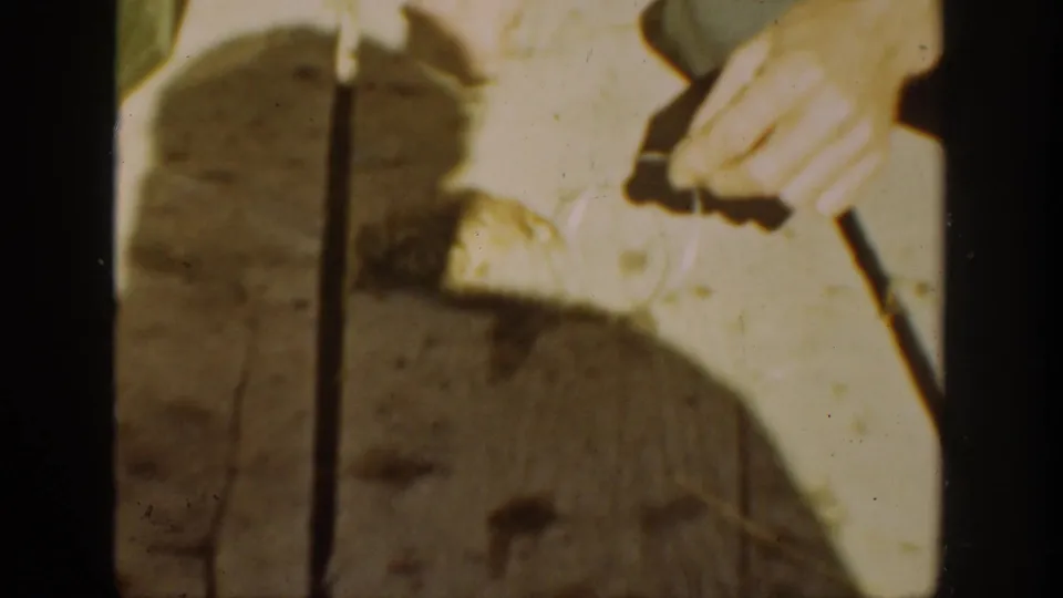 1936 California home-movie frame with a hand reaching toward a small frog on sunlit wooden planks, partly obscured by shadow and film softness.