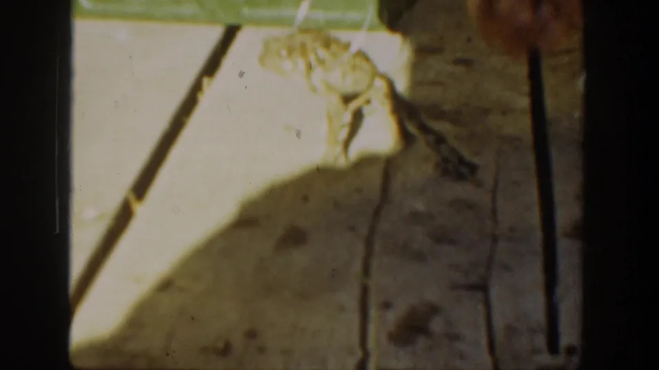 1936 California 8mm frame showing a frog on a wooden surface with fishing line nearby, partly overexposed and softly focused.