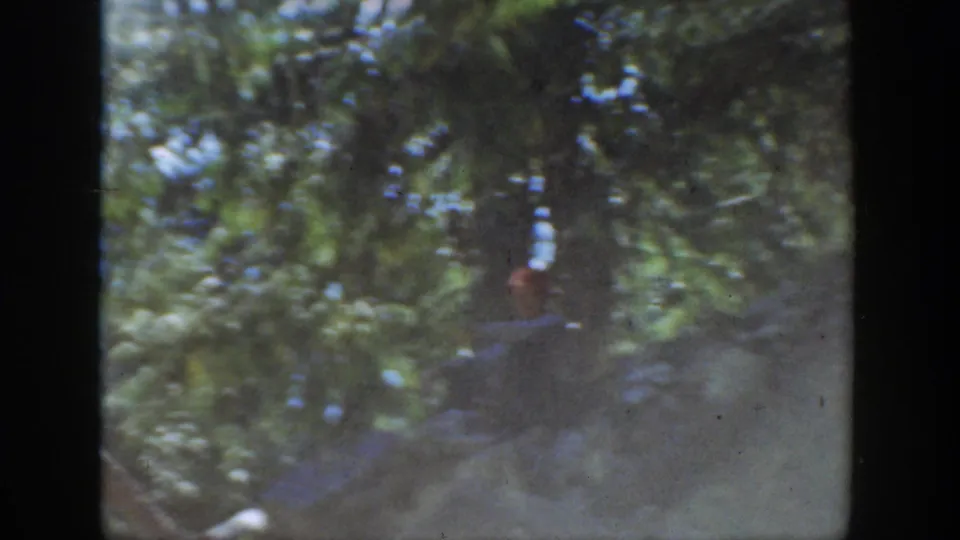 A blurred handheld frame shifts away from the cliff toward trees and a partly visible person, with strong small-gauge film softness.
