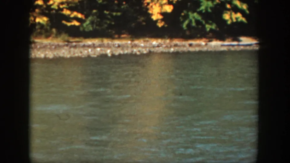 Home-movie view of a quiet California waterway bordered by forest and a rocky shoreline.