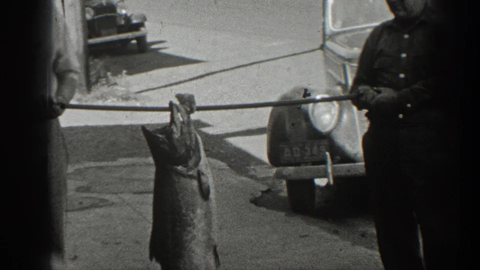 1936 California 8mm frame showing men on a street with a large fish suspended from a pole and vintage automobiles behind them.