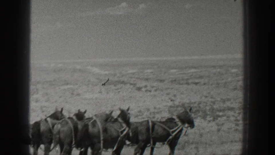 A team of horses pulls a wagon or rig across open California land in black-and-white 1936 home-movie footage.