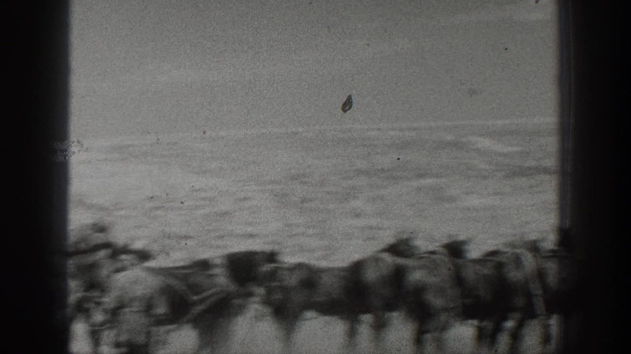 1936 California 8mm frame showing a team of draft horses on a sandy beach near the ocean.