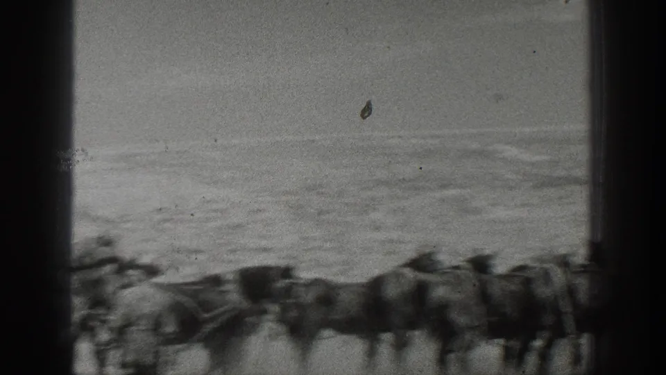 1936 California 8mm frame showing a team of draft horses on a sandy beach near the ocean.
