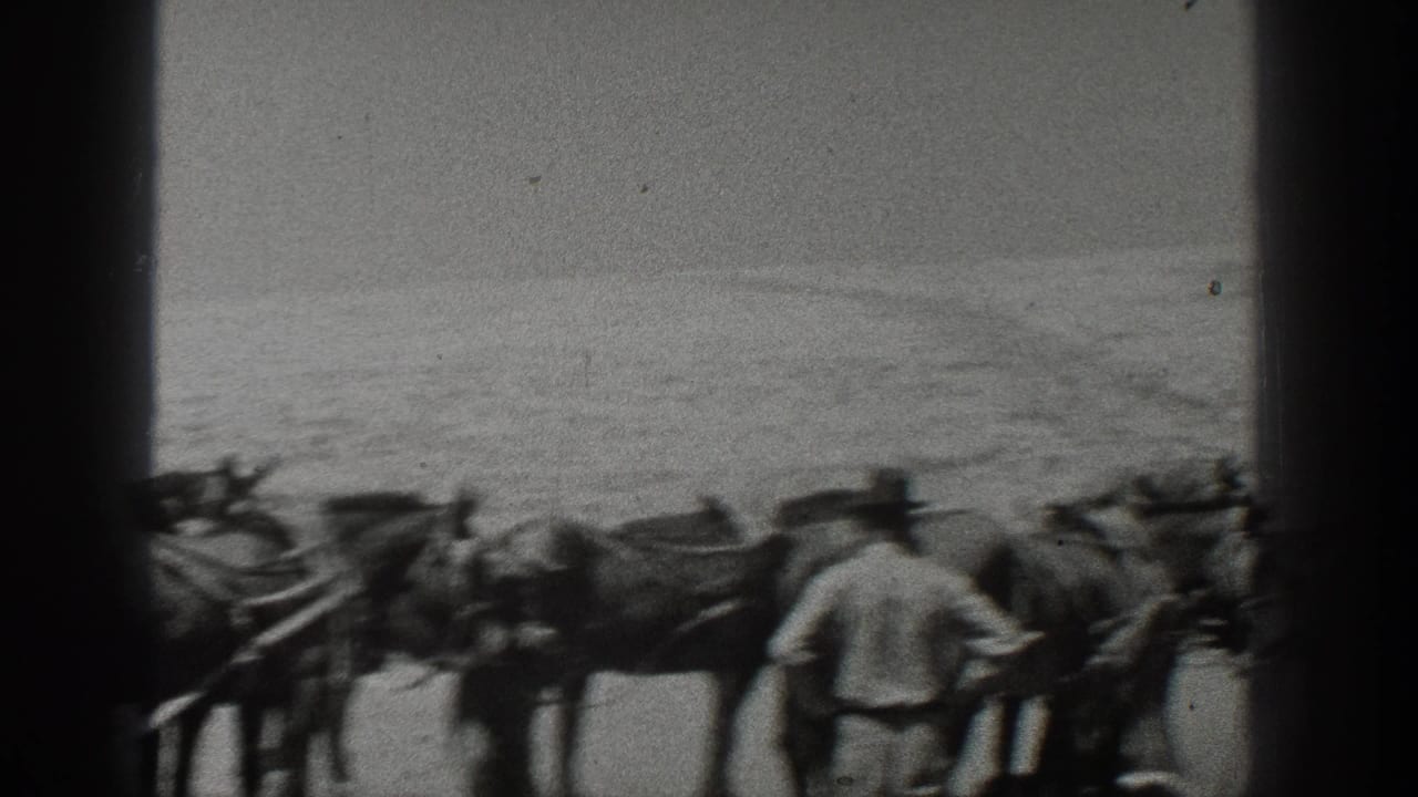 A man in work clothes stands near a harnessed horse team on a California beach in 1936 home-movie footage.