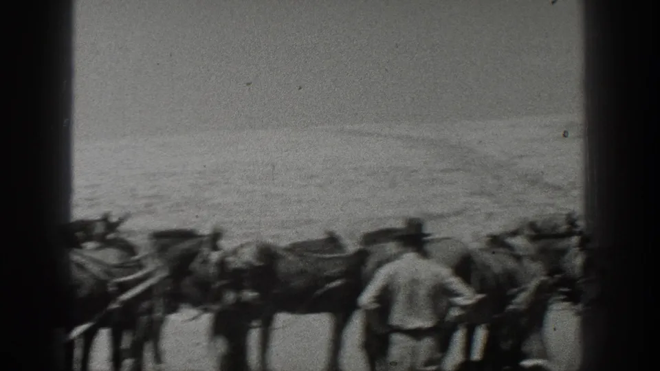 A man in work clothes stands near a harnessed horse team on a California beach in 1936 home-movie footage.