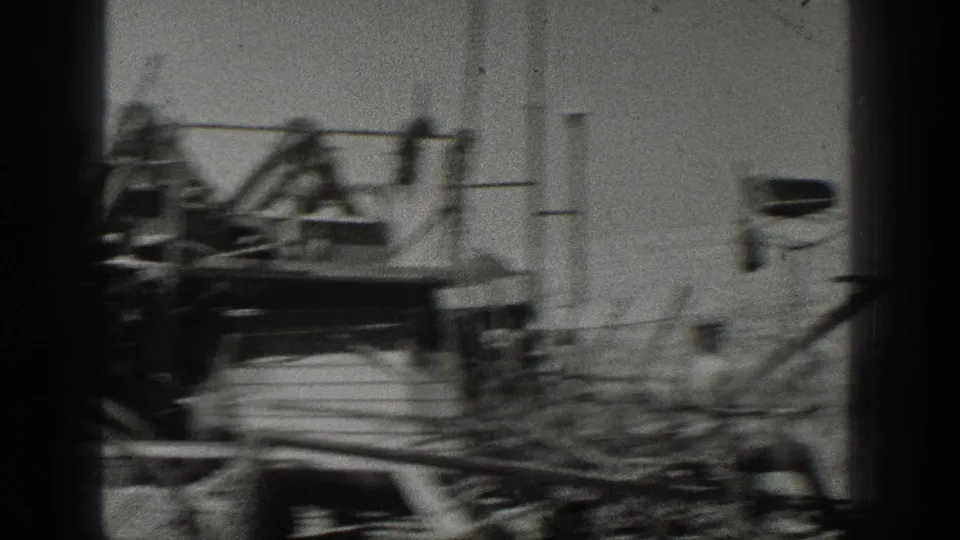 Soft 8mm frame showing partial equipment and horses near a light-colored structure or vehicle on the beach.