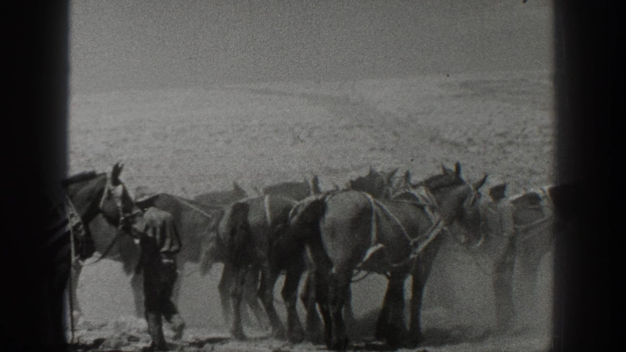 1936 California home-movie frame showing men with a team of harnessed horses on a dry open plain.