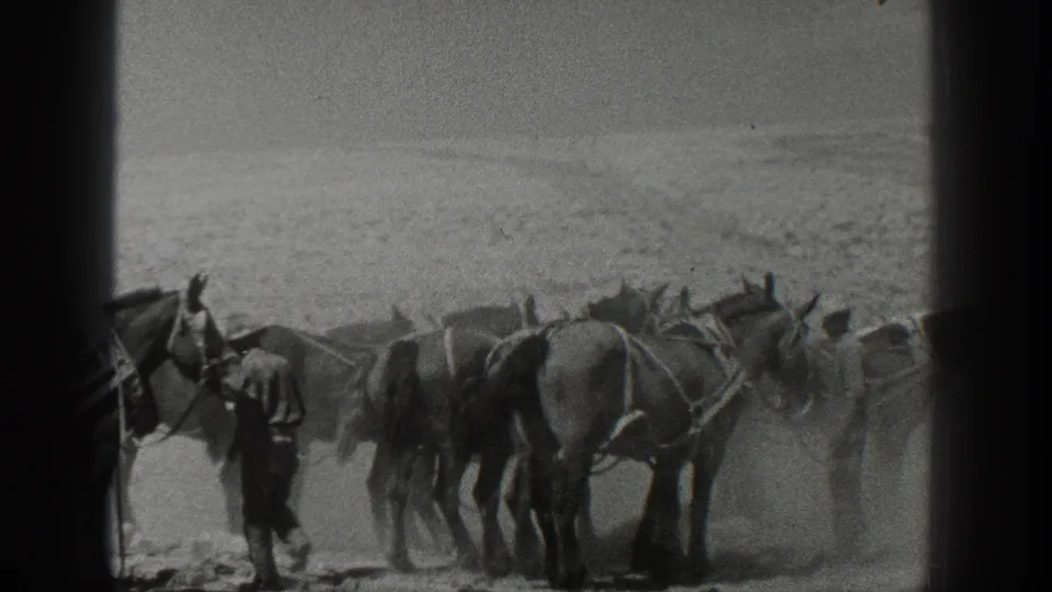 1936 California home-movie frame showing men with a team of harnessed horses on a dry open plain.
