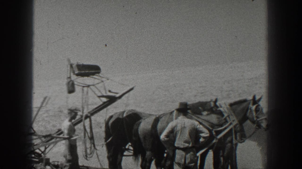 A man stands beside horses and farm equipment with open land behind them.