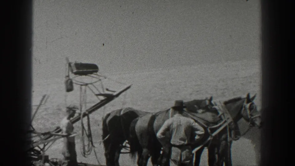 1936 California farm scene with a man, horses, harness gear, and equipment on an arid plain.