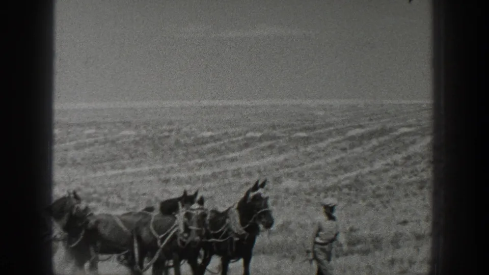 1936 California frame showing a harnessed horse team with men nearby in a dry rural setting.