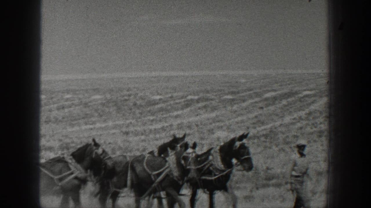 1936 California home-movie frame showing a horse team pulling farm equipment while a farmer walks beside them in an open field.