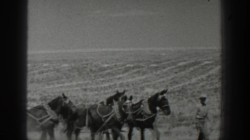 1936 California home-movie frame showing a horse team pulling farm equipment while a farmer walks beside them in an open field.