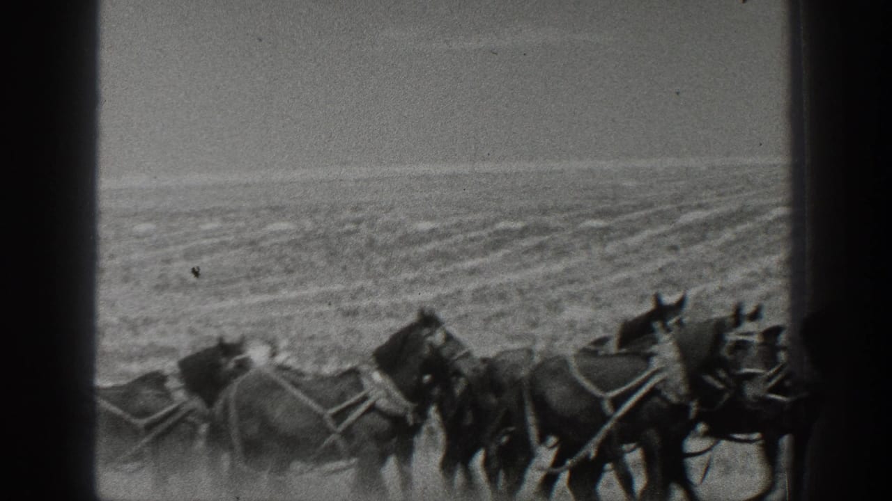A team of harnessed horses passes through a dusty open field.