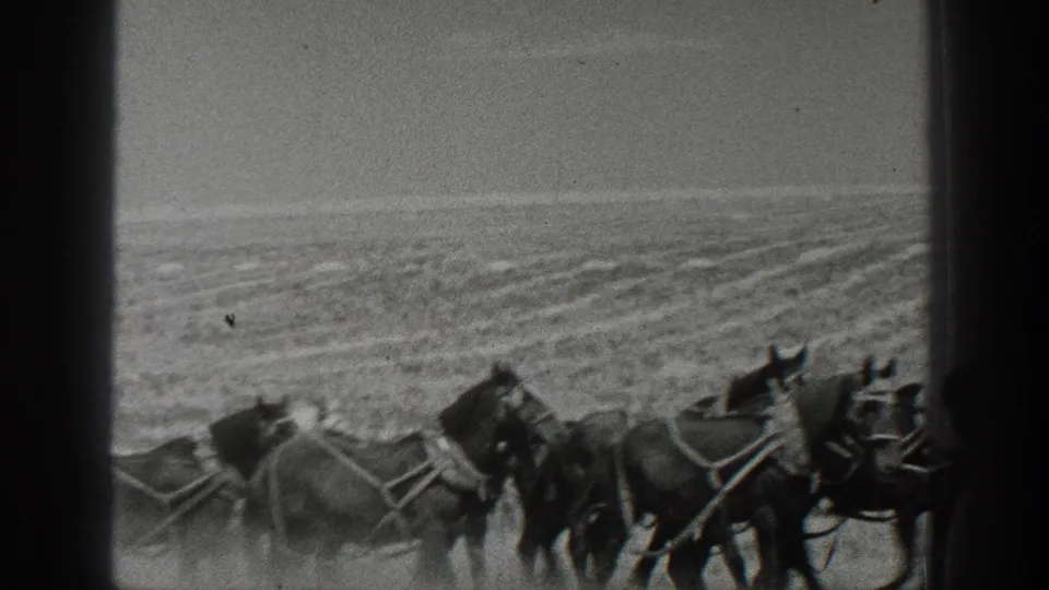 Harnessed horses pull field equipment across a dusty California agricultural landscape in this 1936 8mm frame.