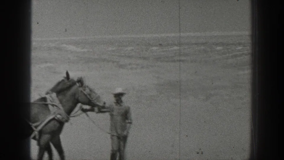 A farmer or handler stands beside a harnessed horse in a 1936 California field, filmed from a distant home-movie viewpoint.