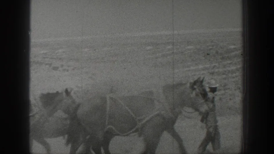 1936 California home-movie frame showing harnessed horses in a dry desert landscape, with a handler partly visible near the team.