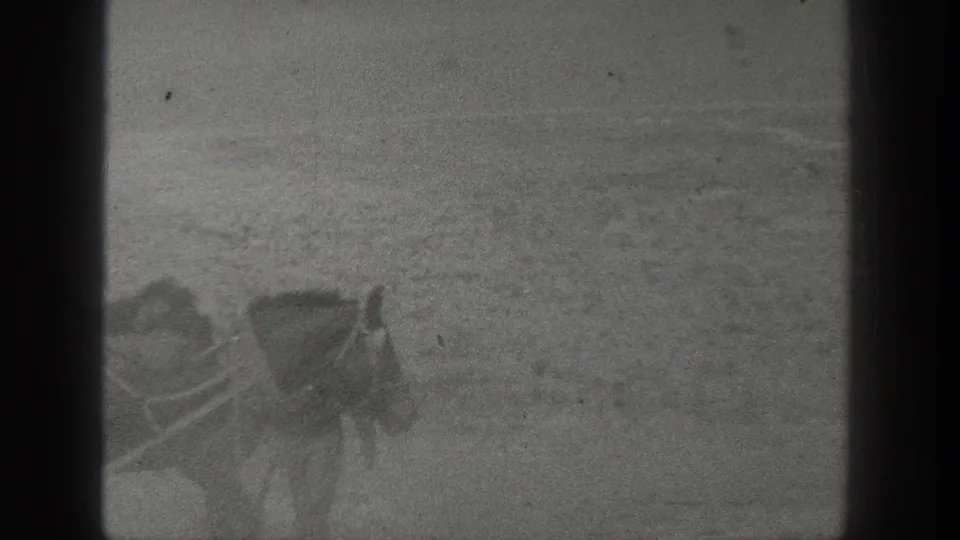 Hazy black-and-white 8mm frame from 1936 California showing harnessed horses moving through a dry desert expanse.