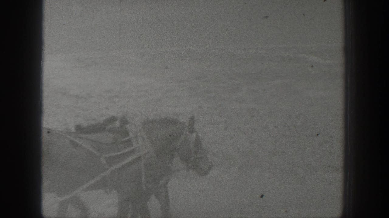 1936 California farm footage appears to show horses working in a dusty field, with soft 8mm grain and limited background detail.