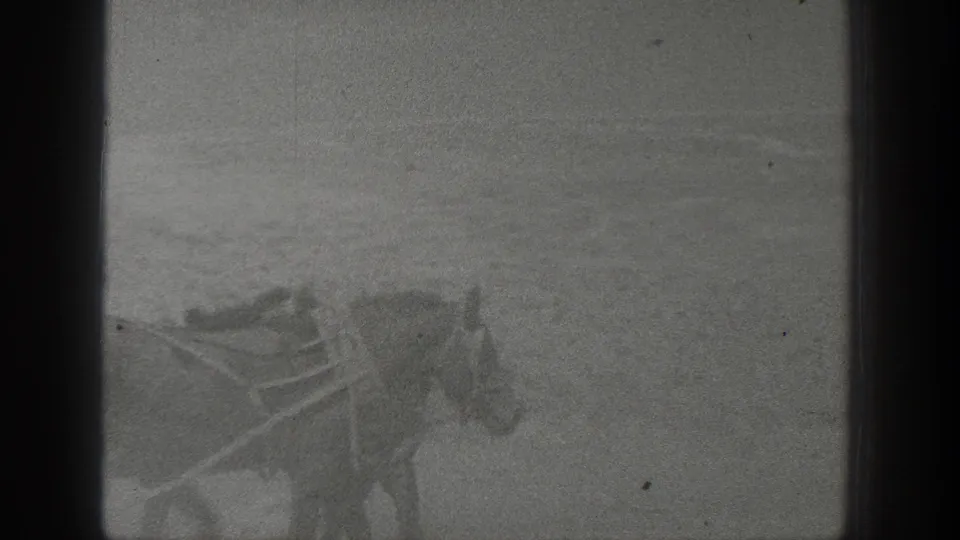 1936 California farm footage appears to show horses working in a dusty field, with soft 8mm grain and limited background detail.
