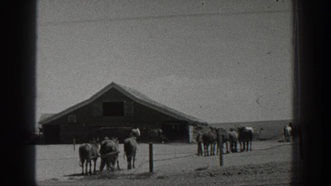Several horses stand near a large barn with fence posts in the foreground.